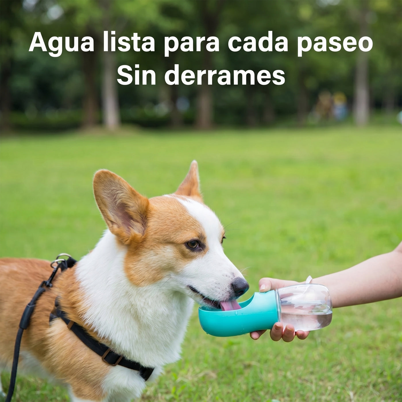 Botella Portátil de Agua para Perro - imagen 2