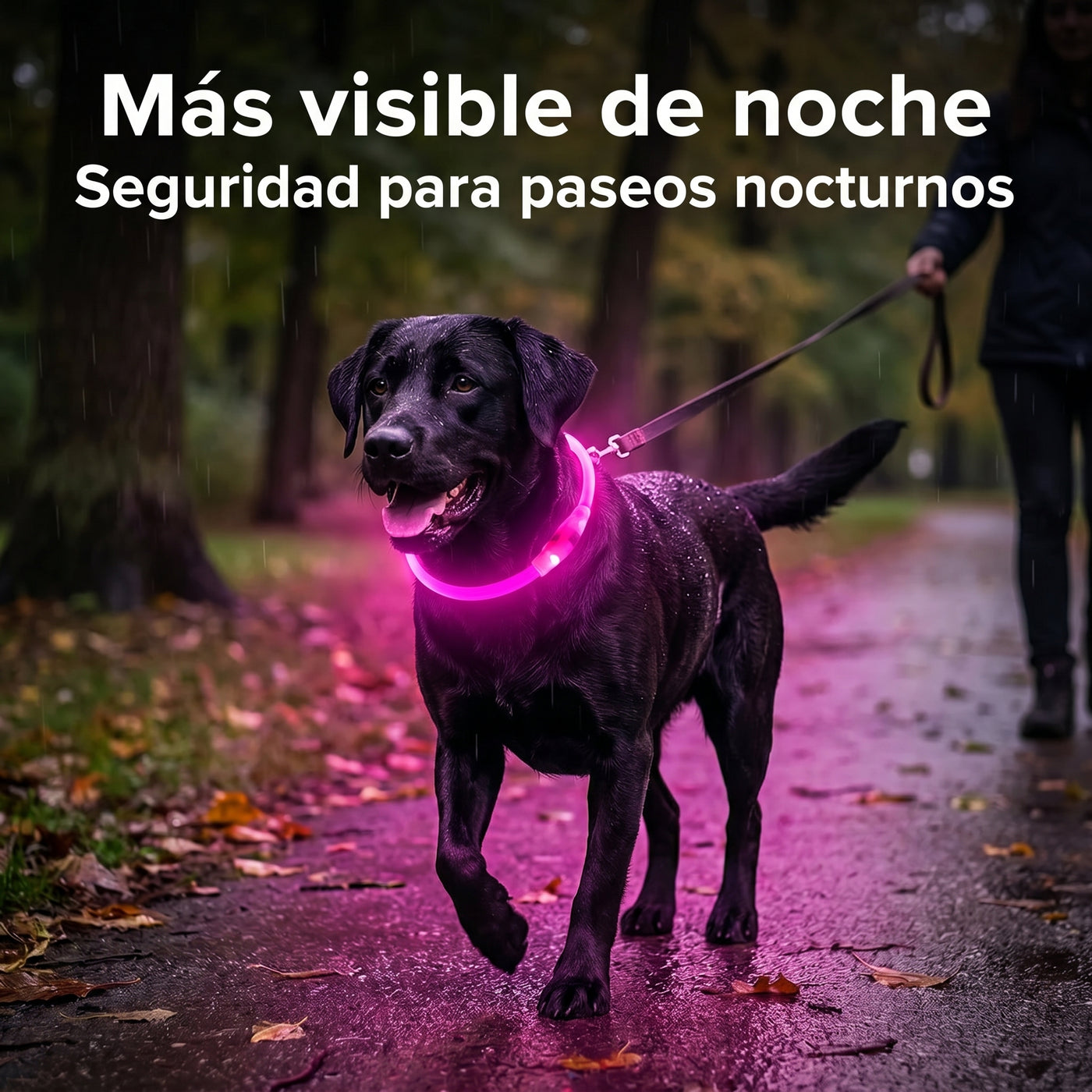 Collar LED Impermeable para Perro - imagen 2