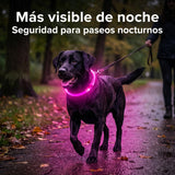 Collar LED Impermeable para Perro - imagen 2