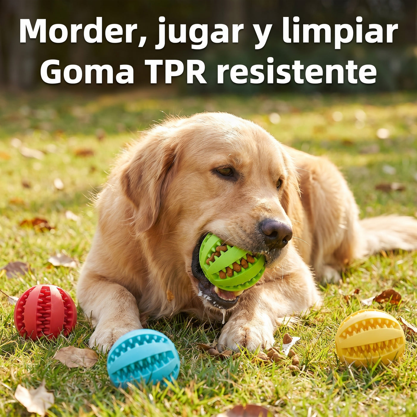 Juguete de Goma TPR para Morder - imagen 2